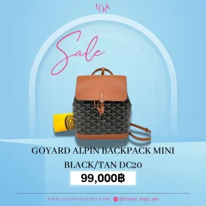 ร้านขายกระเป๋าแบรนด์เนมมือสอง กระเป๋าแบรนด์เนมมือสอง กระเป๋า Goyard Alpin backpack mini black/tan dc20 มือสอง